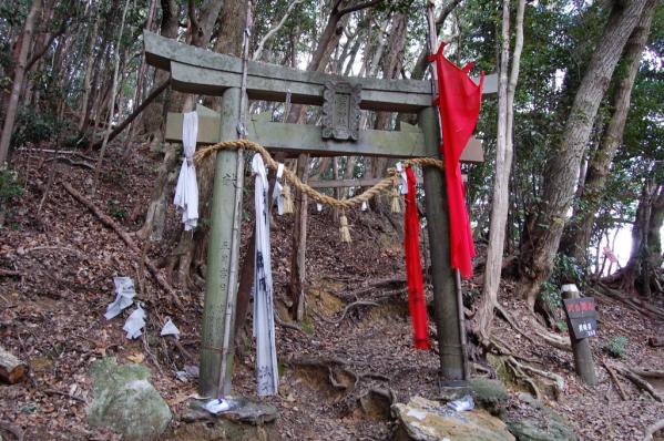 九州百名山　対馬の霊峰・白嶽トレッキング-1