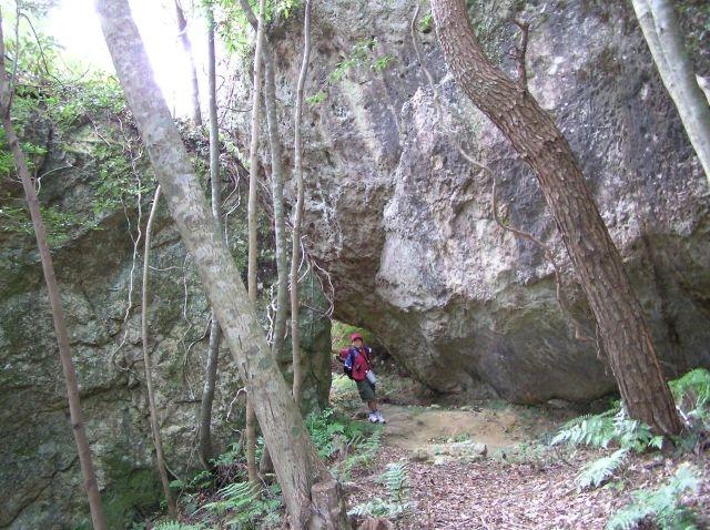 九州百名山　対馬の霊峰・白嶽トレッキング-3