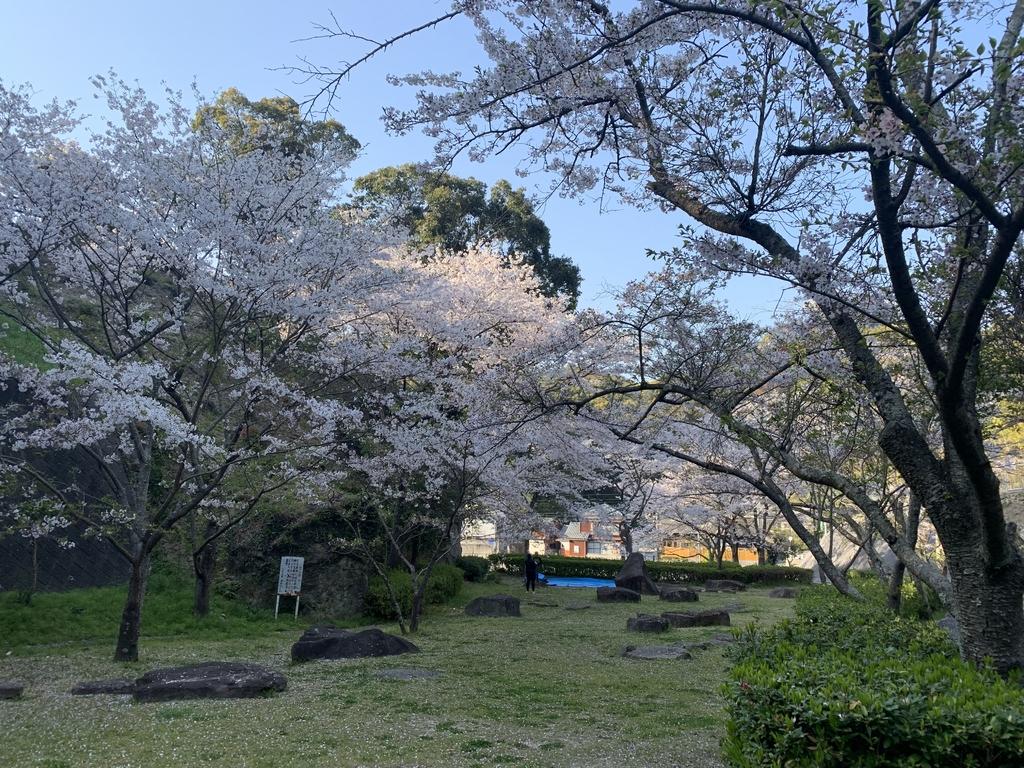 大悲観公園-1