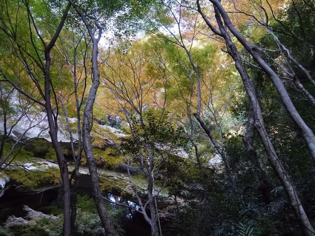 御橋観音　石橋-4
