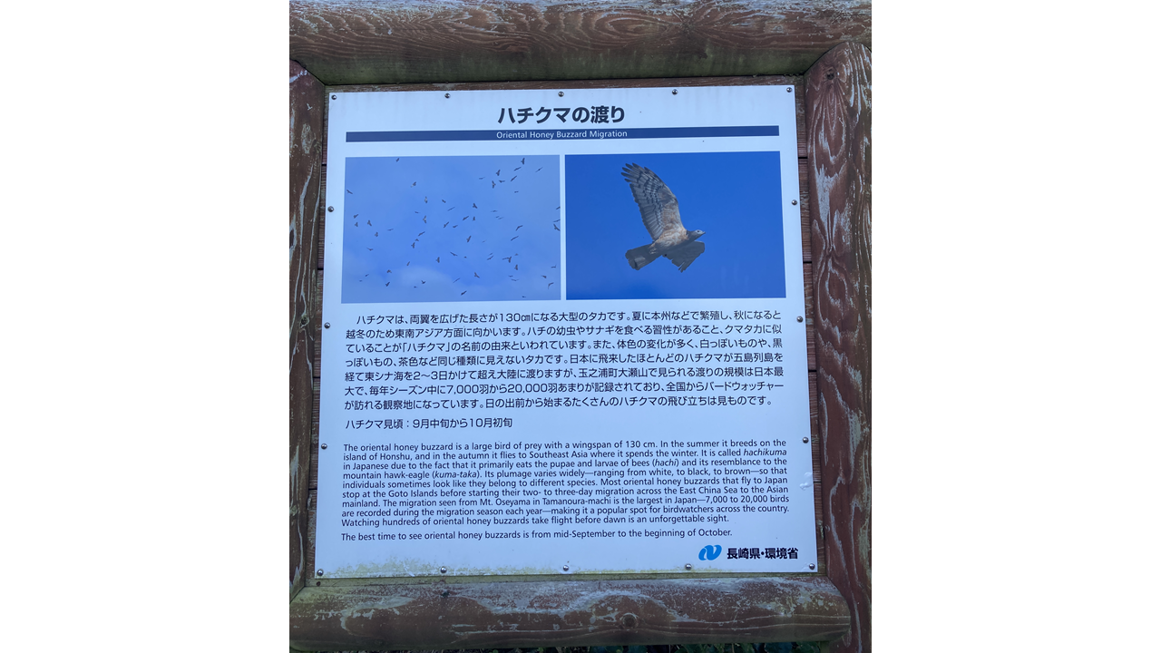 오세자키 등대 (大瀬埼灯台)-8