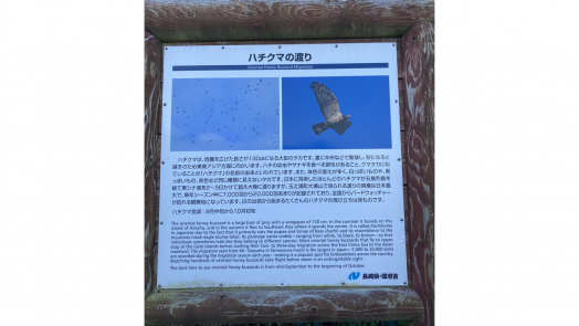 오세자키 등대 (大瀬埼灯台)-8