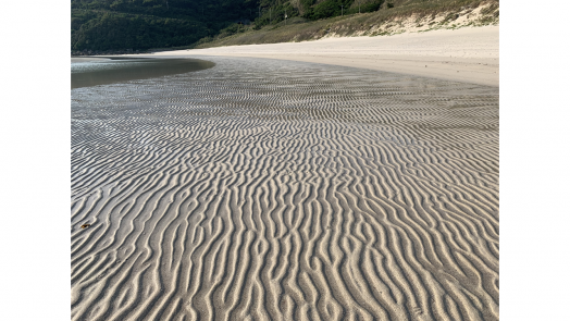 다카하마 해수욕장 (高浜海水浴場)-2