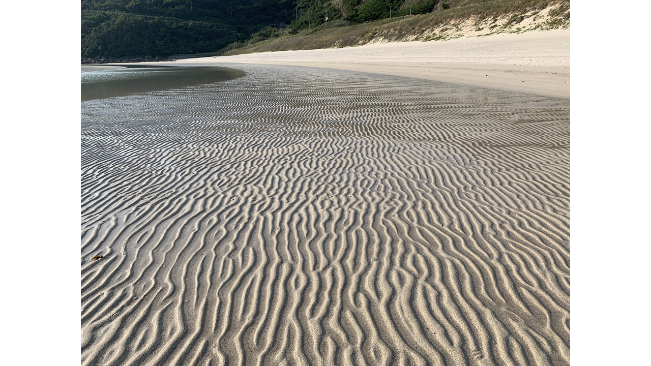 다카하마 해수욕장 (高浜海水浴場)-2