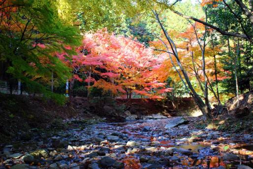 舟志紅葉街道-6