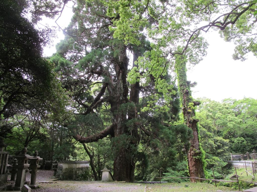 Banshoin Temple-4