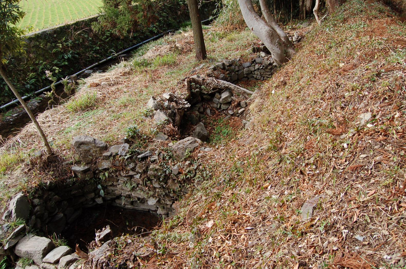 樫ぼの遺跡-1