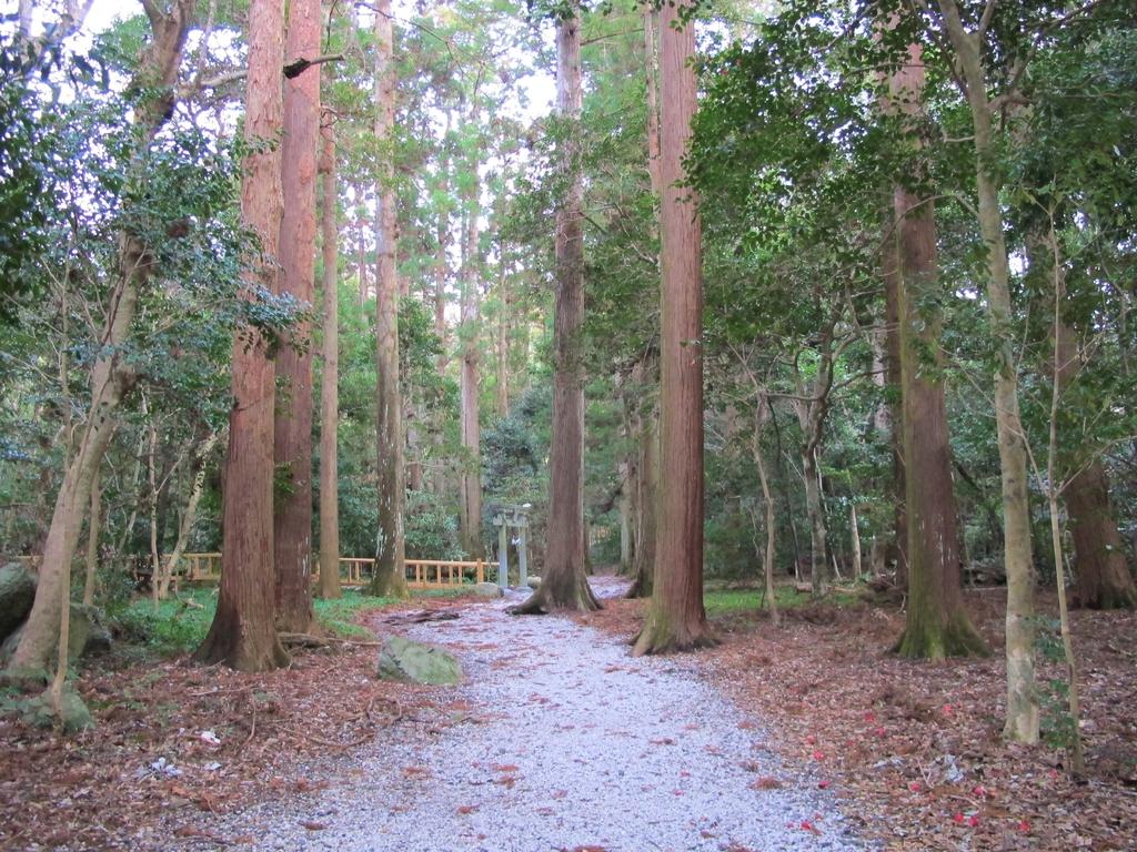 Watatsumi Shrine-3