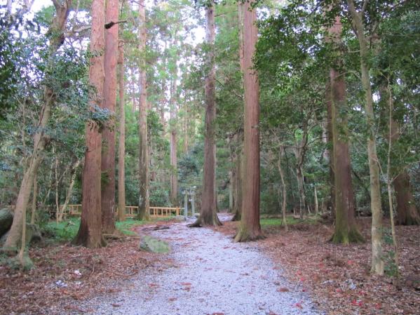 와타즈미 신사 (和多都美神社)-3