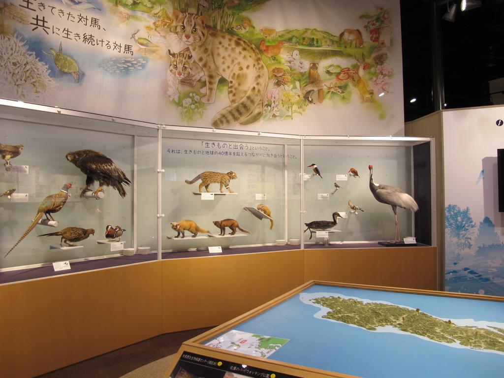 쓰시마 야생생물 보호센터 (対馬野生生物保護センター) -3