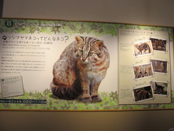 Tsushima Wildlife Conservation Centre-2