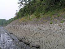 網代の漣痕と洗濯岩-2