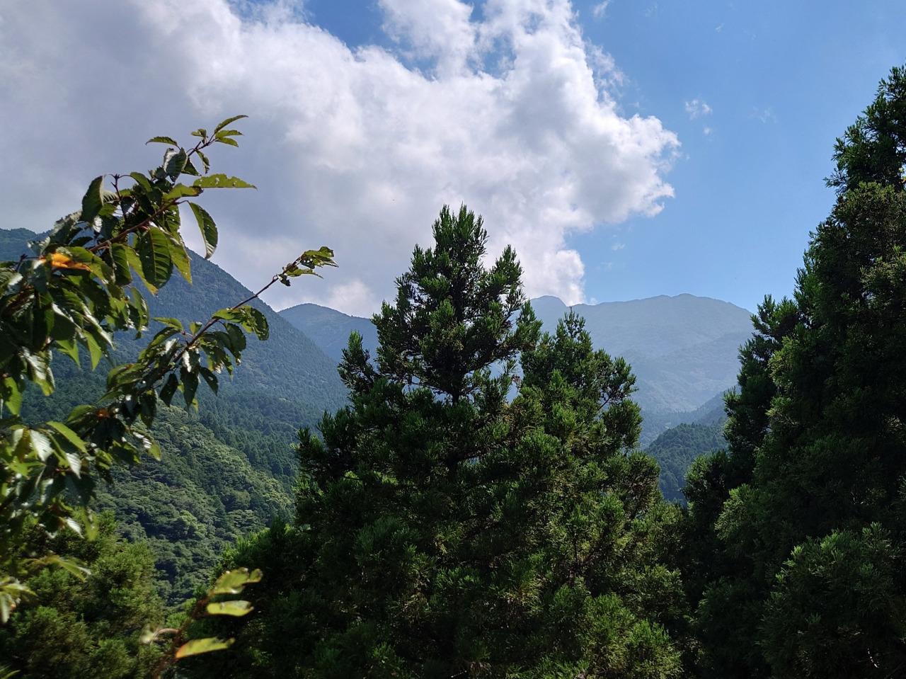 棚田展望台（清水棚田）-3