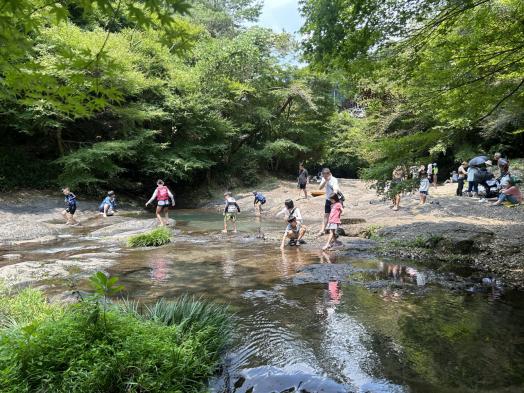 鮎帰りの滝-1