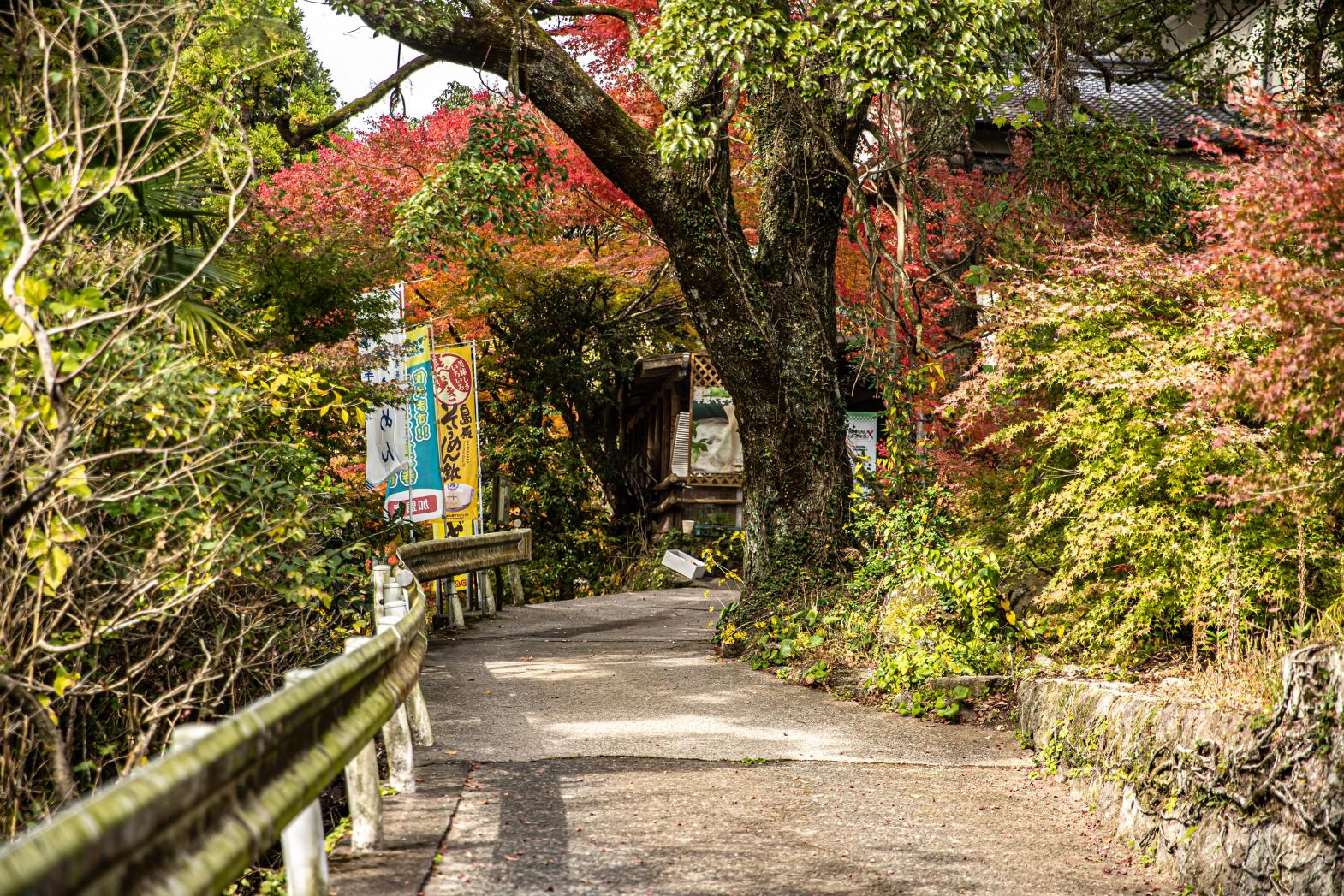 鮎帰りの滝-2
