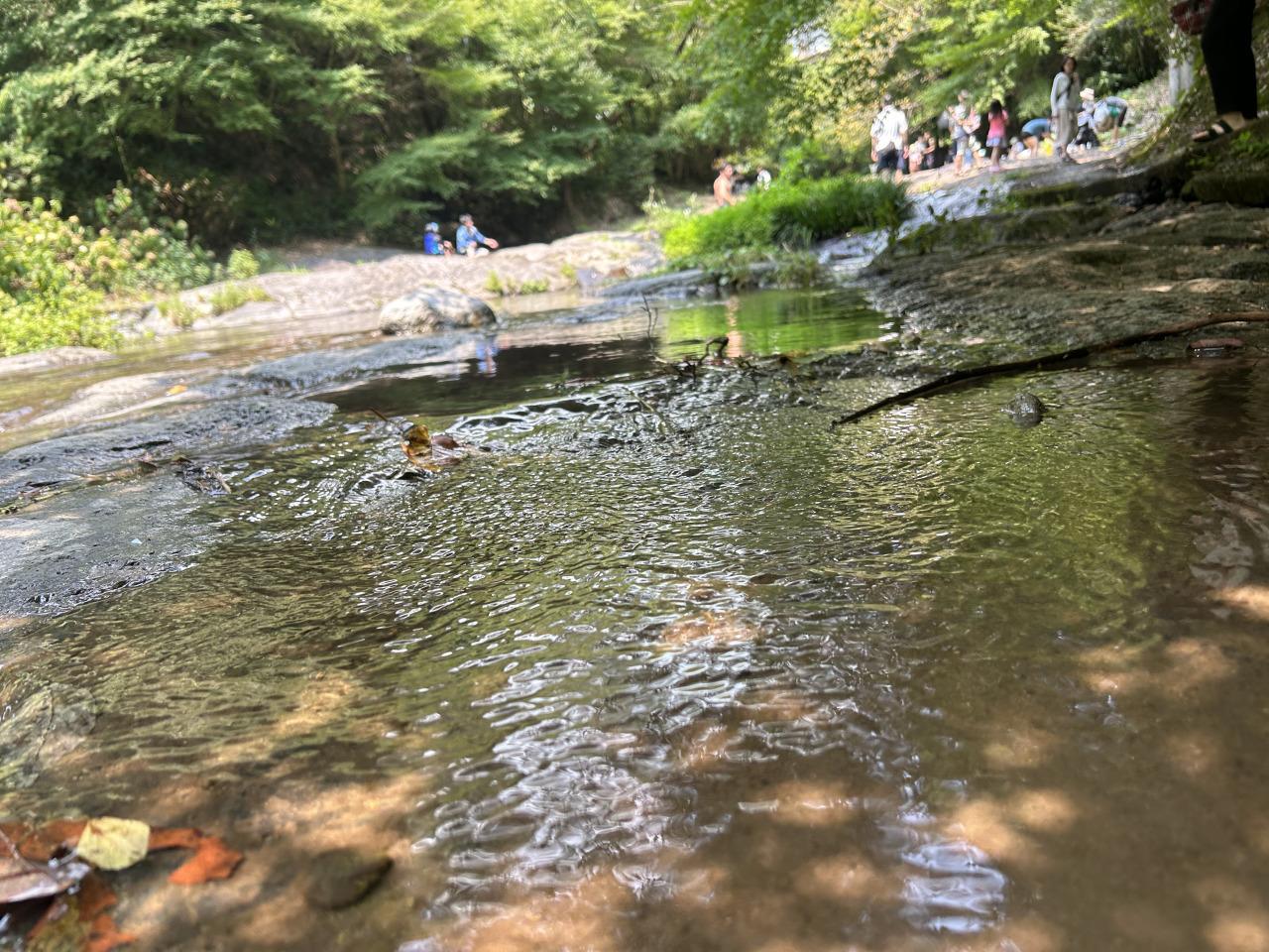 鮎帰りの滝-5