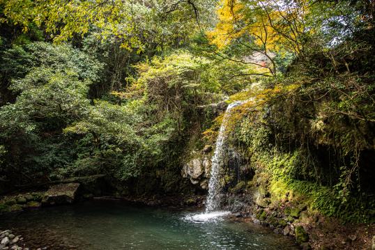 鮎帰りの滝-0