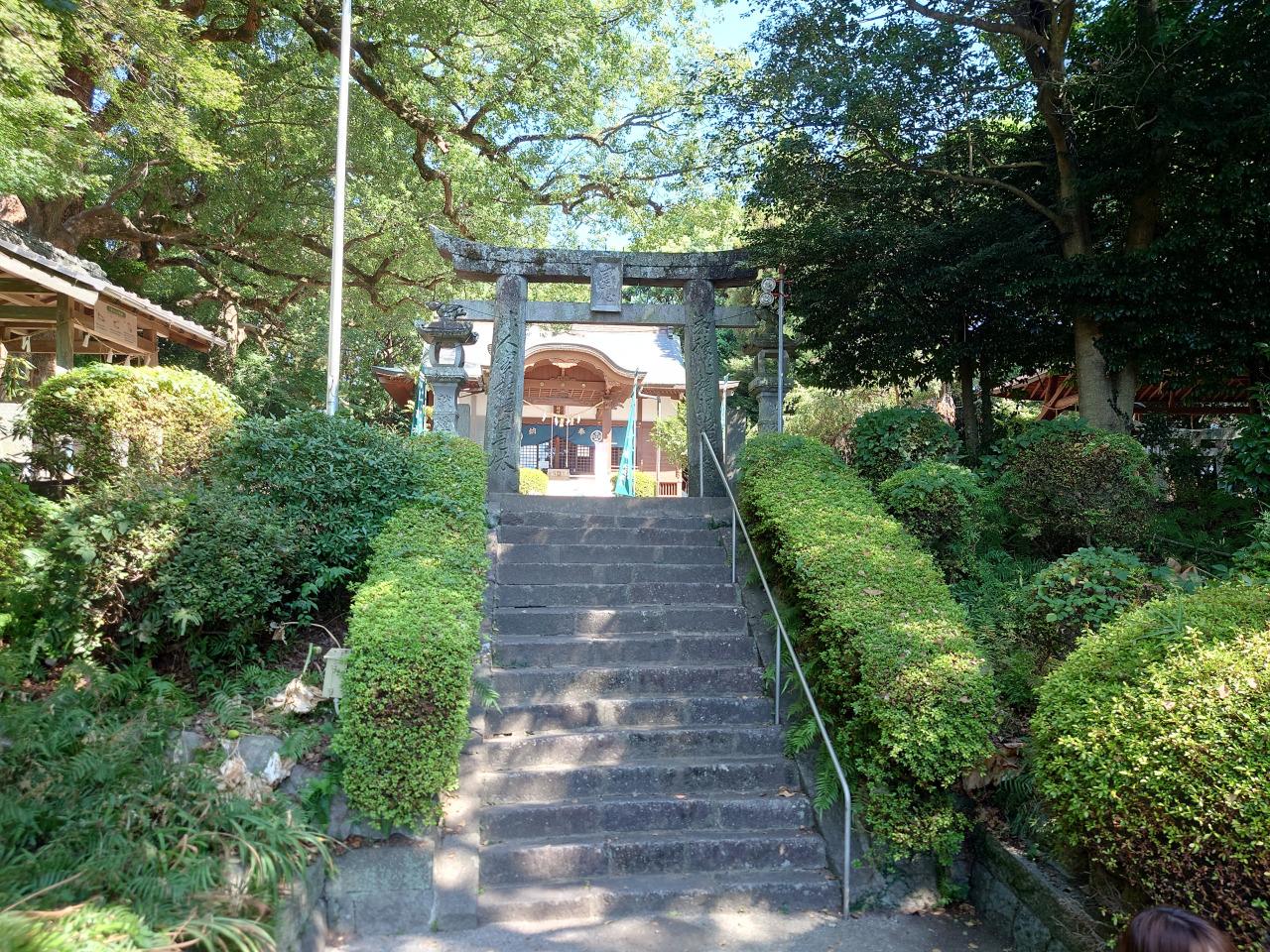深江諏訪神社の社叢-3