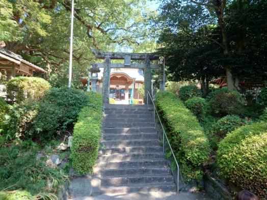 深江諏訪神社の社叢-3