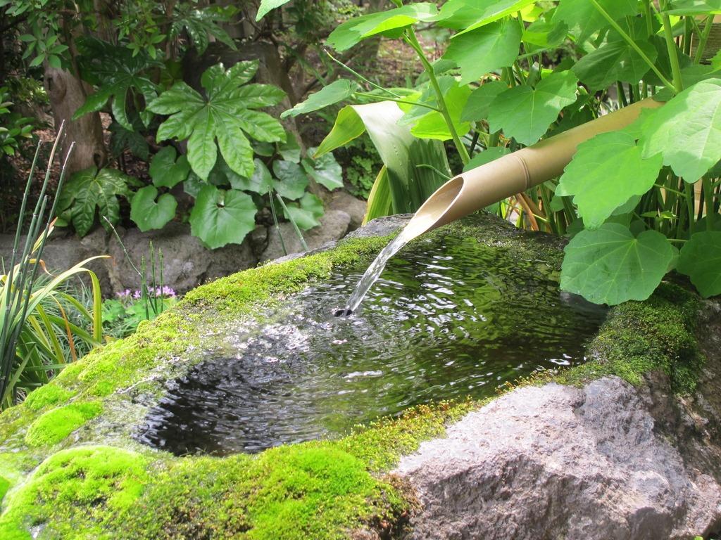 しまばら湧水館（Koiカフェ ゆうすい館）-7