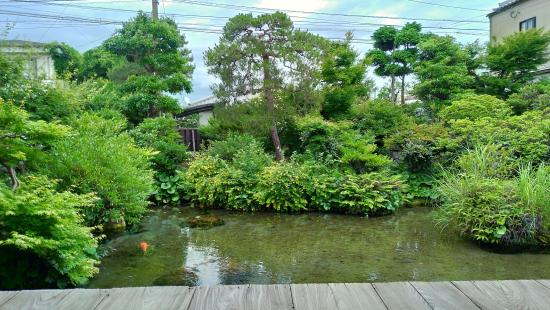 湧水庭園　四明荘-5