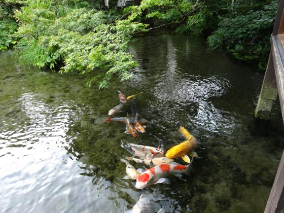 용수정원 시메이소 (용수정원 사명장 / 湧水庭園 四明荘)-4