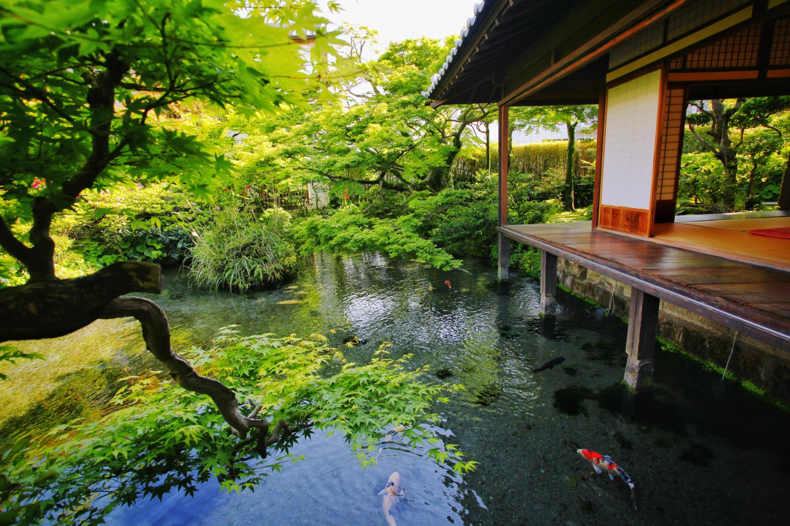 【3日目】湧水庭園　四明荘-1