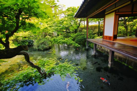 湧水庭園　四明荘-0