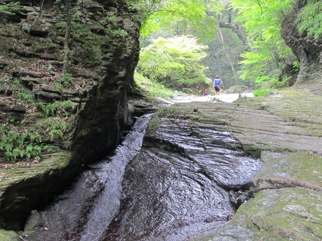 富川渓谷（富川万年の森）-2