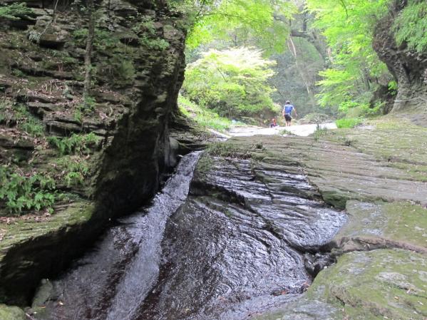 富川渓谷（富川万年の森）-2