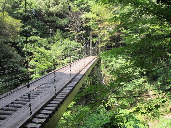 富川渓谷（富川万年の森）-1